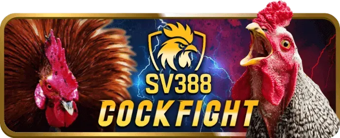 Cookie là gì